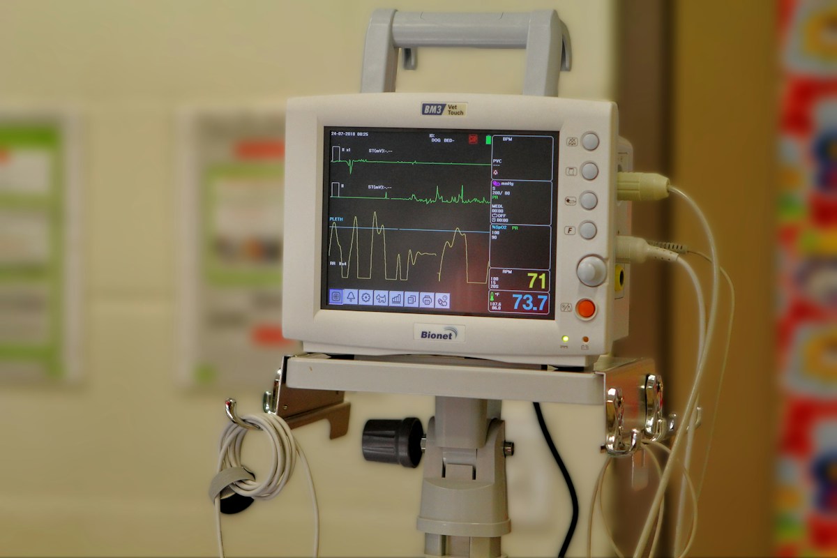 Heart monitor and equipment in a veterinary animal clinic